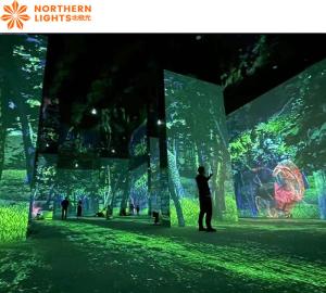 China Psychological Treatment Room Lighting Room Indoor Immersive Projector factory