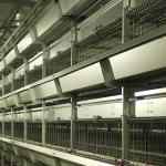 H Type Low Death Rate Baby Chick Cage 4 Tiers For Large Scale Farm 300CM² Area