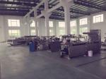 Razors Paper Cosmetic Packaging Machine , Automatic Blister Packing Machine