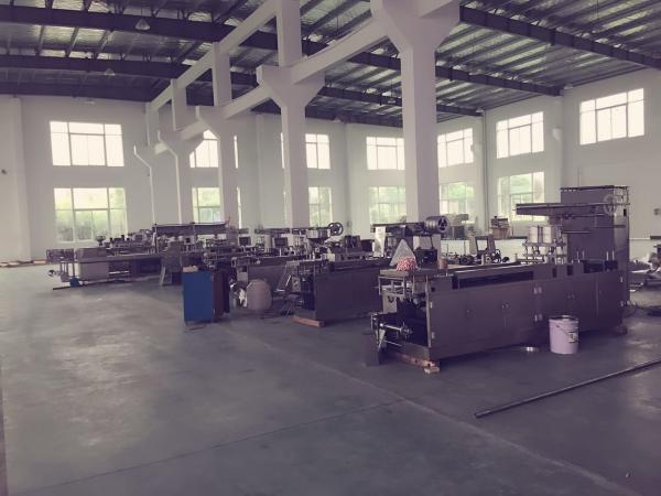 Flat Type Pharmaceutical Blister Packaging Machines , Automatic Blister Pack
