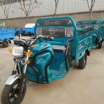 265kg Tricycle For Adults Motorized
