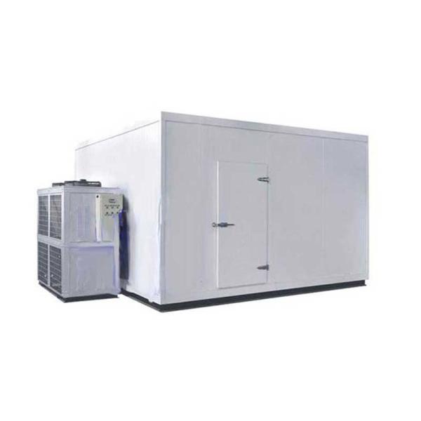 China Customized Size and Materials Insulated Panel Ice Storage Cold Room for Food or Industrial Storage factory