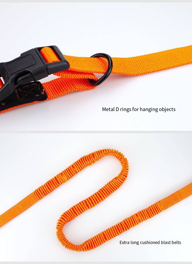 Custom Multi Functional Pet Leash Hands Free Dog Leash And Collars Set With Poop Bag