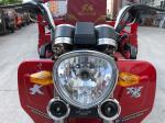 Customized Body 800W Light Load Three Wheel Cargo Motorcycle Tricycle Trike Bike