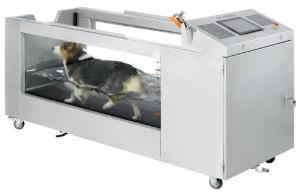 China SGS 3HP Dog Water Hydrotherapy Treadmill speed adjustable factory