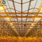 Uv Protection Transparent Flower Garden Greenhouse Easy To Assemble