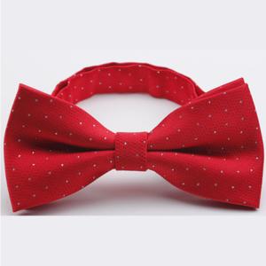China Men's polyester jacquard bow-tie factory
