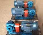 Cast Iron Heavy Oil Pump RCB-5/0.8 Arc Gear Pumps For Oil