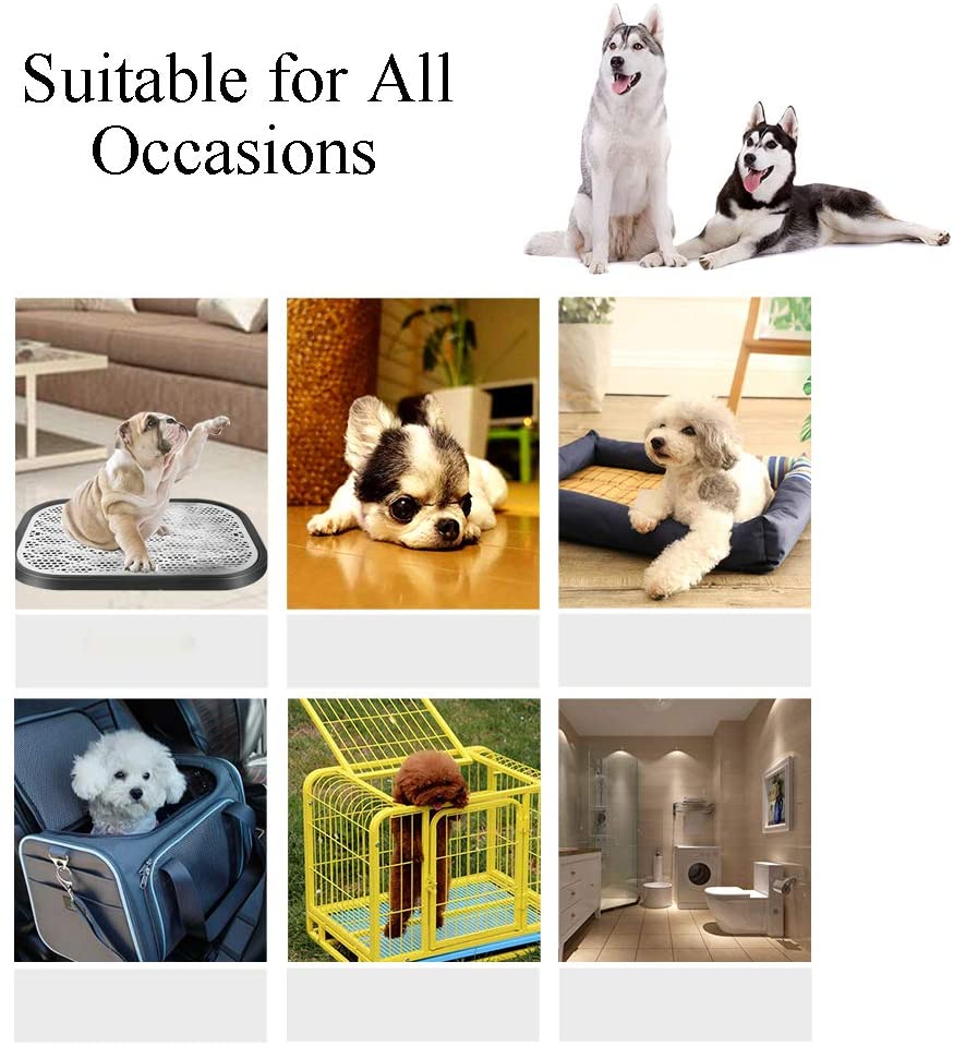 S&J Dog Cat Super Absorbent Pet Training Pads Puppy Pee Pad Disposable Pet Potty Pet Pad OEM