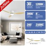 Modern Design 52 Inch 100%DC Motor Smart Home Ceiling Fan with Light from