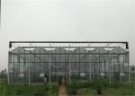 3m - 6m Side Height Agricultural Glass Greenhouse With Cooling Pad Fan System