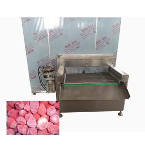 China SUS304 Fish Food Freezing Machine 1500KG/H Iqf Tunnel Freezer factory