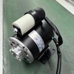 Induction Motor Electric Water Vane Pump Motor 100W 150W 180W 200W 350W 550W