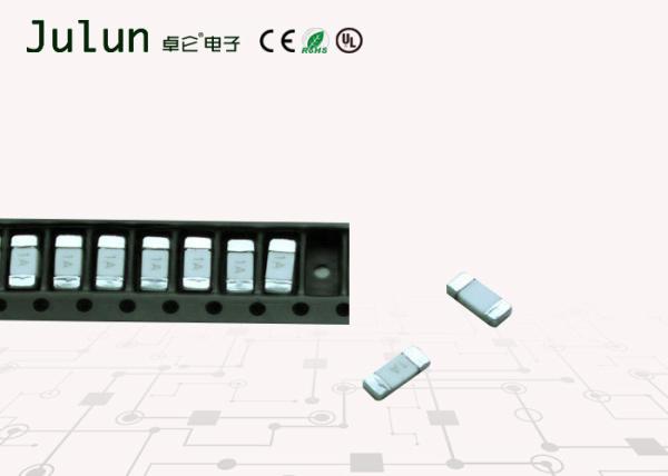 Micro Ceramic Electronic Circuit Board Fuses Slow Blow Automotive Fuse 245-2410