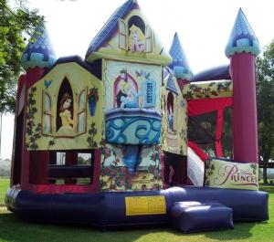 China Princess Bounce House 5 In 1 Pink Inflatable Castle With Slide For Sale factory