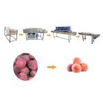 Hot selling Vegetable Washing Cutting Drying Processing Line by Huafood