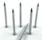 OEM Angular Spiral Steel Nails 45# Carbon Steel Nail Electro Galvanized