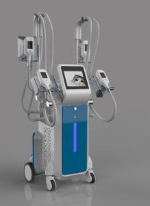 China Cryolipolysis slimming machine body slimming machine can you freeze fat cells factory