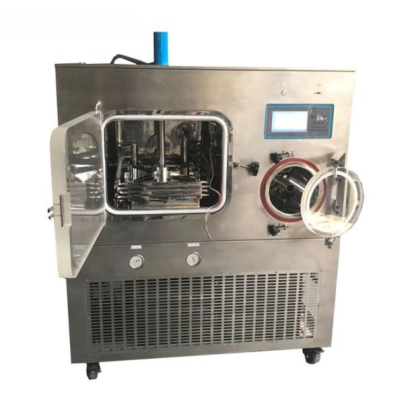 China 3L Automatic Pilot Vaccine Freeze Drying Machine factory