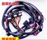 OEM auto ECU cable auto harness with waterproof automotive wire assembly