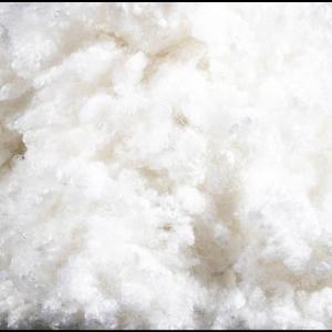 China Eco-Friendly Polyester Staple Fiber White Filling Material Staple Virgin Hollow Conjugated factory