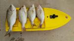 New Single Boat Hull Bait Boat HYZ-100