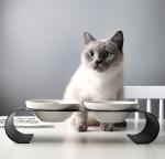 Elevated Ceramic Dog Cat Bowls for Food and Water