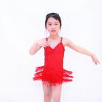 3 Layer Latin Dance Costumes Biketard V - Neck Bodice Flying Fringe Skirt