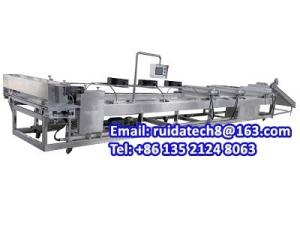 China Automatic Food Forming Machine, Peanut Praline/ Peanut Brittle/ Peanut Candy Bar Forming Cutting Machine factory