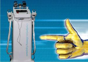 China Best seller freeze machine cryolipolysis freezing fat factory