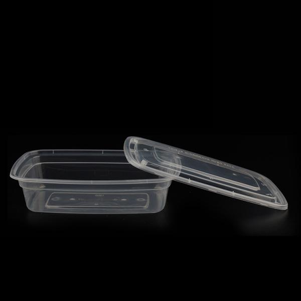 Food grade disposable container plastic fast food lunch boxes, take away food