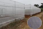 Anti-Insect, Anti -Hail Mesh Netting, Agriculture, Crop Cover Netting, Fruit