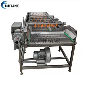 China SUS304 Bubble Washer For Fruit And Vegetable Processing Line factory