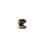 Buy cheap 2 Phase 5v Dc 5mm Mini Vibration Motor , Small Dc Stepper Motor ISO Certificatio from wholesalers