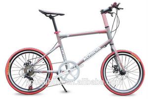 China Ladies Aluminum 7 Speed 24 Inch Wheel Electric Bike factory