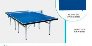 China New design table tennis table Double folding indoor movable table tennis table YGTT-002 factory