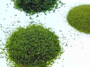 China Japan Aonori Ao NORI KO Flakes Green Ulva Seaweed Laver Powdered For Sprinkling factory