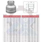 Stainless Steel 201 304 316 Npt BSP Threaded Pipe Coupling Fittings Red Socket