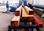 100mm To 500mm Twin Heads Vertical Band Saw Mill Machine,Twin Vertical Wood