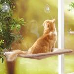 Cute Comfortable Hanging Pet Bed Bearing 20kg Window Mounted Cat Bed