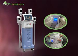 China 2016 most professional fat loss cryolipolysis slimming machine on sale factory