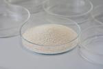 Lipase Leather Enzyme Used In Oil And Fat Processing / Leather / Washing / Paper