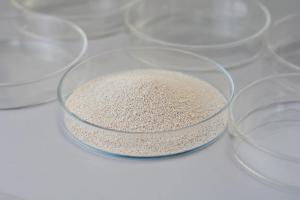 China Lipase Leather Enzyme Used In Oil And Fat Processing / Leather / Washing / Paper Making factory