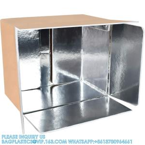 China Thermo Chill Double Insulated Carton With Foil Insulated Bag Liner, Small Mailing Box, Shipping Box For Mailing factory