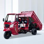 Gasoline Tricycle For Africa Fuel Tank Capacity 10-20L Displacement 250cc