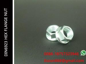 China DIN6923 Hex Flange nut Blue-White Zinc Plated M20-2.5 Size range Grade 4.8-12.8 ISO 4161 factory