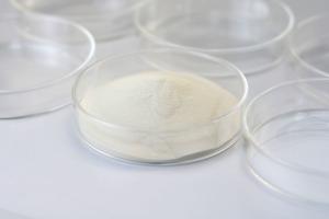 China 18 Months Shelf Life Food Grade Enzymes for Treatment of Tannin-Containing Industrial Wastewater Environmental Protection factory