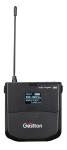 510-937MHz Two Channel Wireless Microphone System True Diversity
