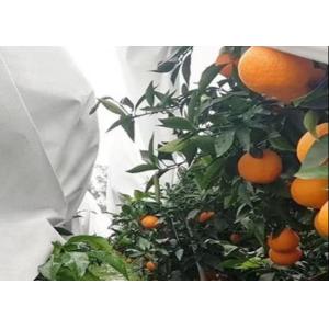 China Thermal Insulation And Translucent Garden Cold-Proof Composite Nonwoven Fabrics on sale