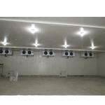 Garment Shops Solar Cold Storage with 20KVA Generador and Durable Design